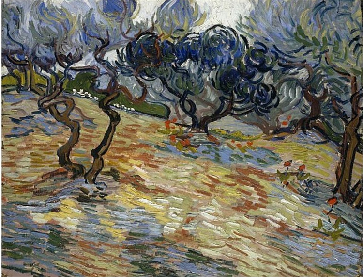 Olive Trees Bright Blue Sky Van Gogh Oil Painting